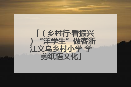 （乡村行·看振兴）“洋学生”做客浙江义乌乡村小学 学剪纸悟文化