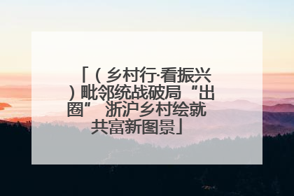 （乡村行·看振兴）毗邻统战破局“出圈” 浙沪乡村绘就共富新图景