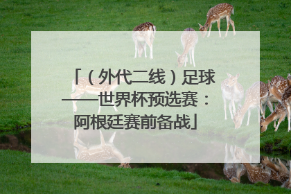 （外代二线）足球——世界杯预选赛：阿根廷赛前备战