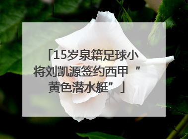 15岁泉籍足球小将刘凯源签约西甲“黄色潜水艇”