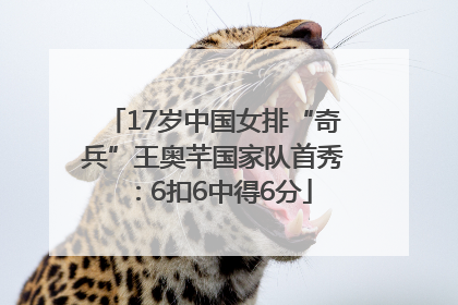 17岁中国女排“奇兵”王奥芊国家队首秀：6扣6中得6分