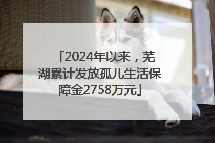 2024年以来，芜湖累计发放孤儿生活保障金2758万元