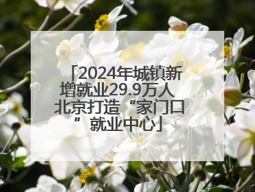 2024年城镇新增就业29.9万人 北京打造“家门口”就业中心