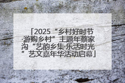 2025“乡村好时节·游购乡村”主题年蔡家沟“艺韵乡集·乐活时光”艺文嘉年华活动启幕