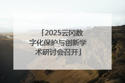 2025云冈数字化保护与创新学术研讨会召开