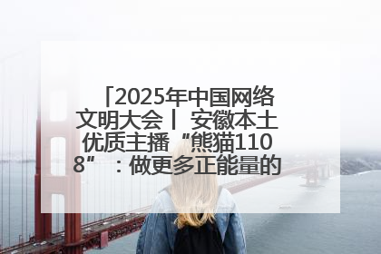 2025年中国网络文明大会丨 安徽本土优质主播“熊猫1108”：做更多正能量的事情 带给大家快乐