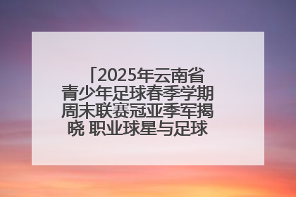 2025年云南省青少年足球春季学期周末联赛冠亚季军揭晓 职业球星与足球小将共享荣耀时刻