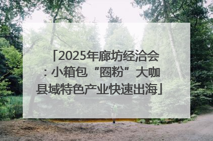 2025年廊坊经洽会：小箱包“圈粉”大咖 县域特色产业快速出海