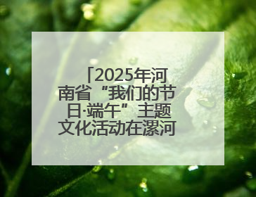 2025年河南省“我们的节日·端午”主题文化活动在漯河市召陵区举行