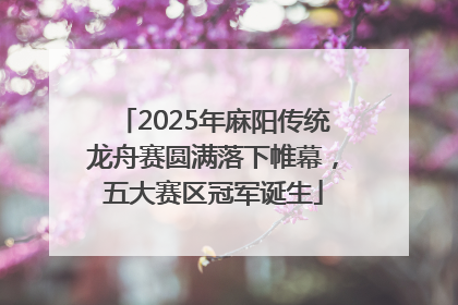 2025年麻阳传统龙舟赛圆满落下帷幕，五大赛区冠军诞生