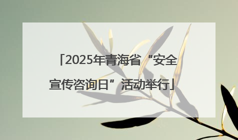 2025年青海省“安全宣传咨询日”活动举行
