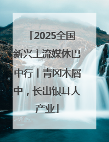 2025全国新兴主流媒体巴中行丨青冈木屑中，长出银耳大产业