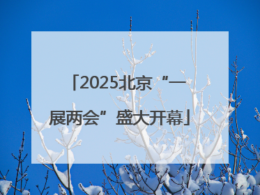 2025北京“一展两会”盛大开幕