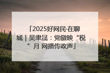 2025好网民·在聊城｜吴聿晟：党徽映“税”月 网播传政声