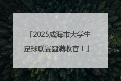 2025威海市大学生足球联赛圆满收官！