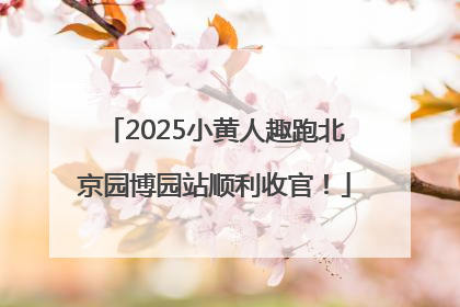 2025小黄人趣跑北京园博园站顺利收官！