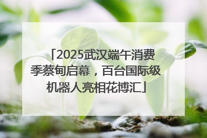 2025武汉端午消费季蔡甸启幕，百台国际级机器人亮相花博汇