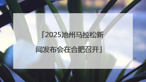 2025池州马拉松新闻发布会在合肥召开