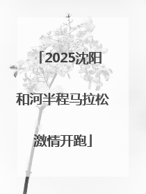 2025沈阳和河半程马拉松激情开跑