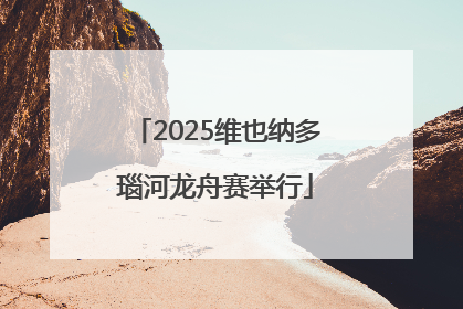 2025维也纳多瑙河龙舟赛举行