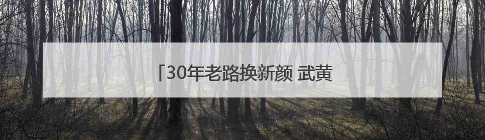30年老路换新颜 武黄高速改扩建冲刺年底通车