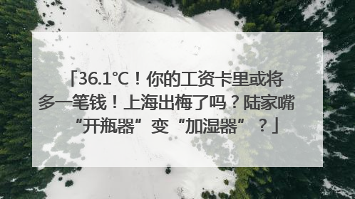 36.1℃！你的工资卡里或将多一笔钱！上海出梅了吗？陆家嘴“开瓶器”变“加湿器”？