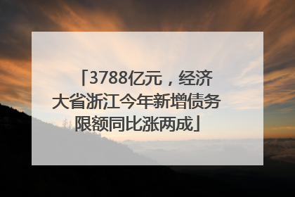 3788亿元，经济大省浙江今年新增债务限额同比涨两成