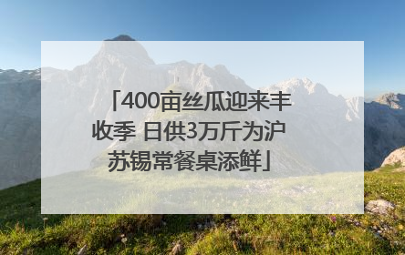 400亩丝瓜迎来丰收季 日供3万斤为沪苏锡常餐桌添鲜