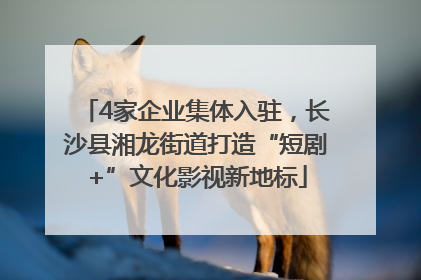 4家企业集体入驻，长沙县湘龙街道打造“短剧+”文化影视新地标
