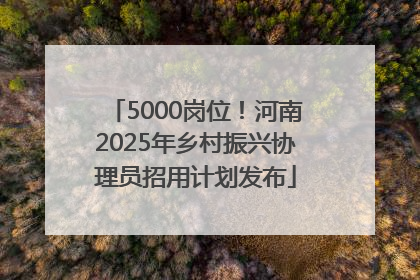 5000岗位！河南2025年乡村振兴协理员招用计划发布