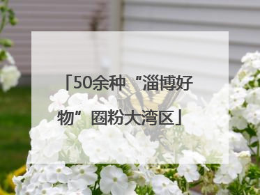 50余种“淄博好物”圈粉大湾区