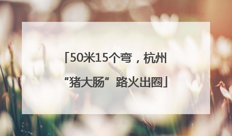 50米15个弯，杭州“猪大肠”路火出圈