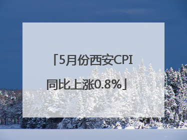5月份西安CPI同比上涨0.8%