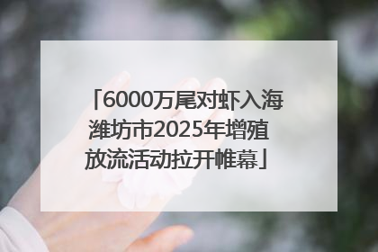 6000万尾对虾入海 潍坊市2025年增殖放流活动拉开帷幕