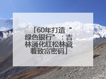 60年打造“绿色银行”：吉林通化红松林藏着致富密码