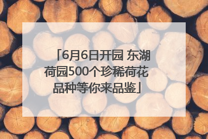 6月6日开园 东湖荷园500个珍稀荷花品种等你来品鉴