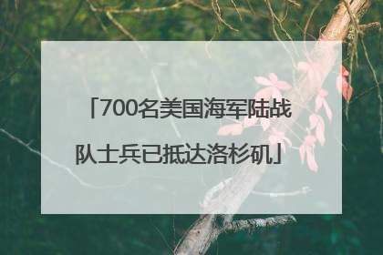 700名美国海军陆战队士兵已抵达洛杉矶