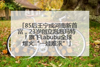 85后王宁成河南新首富，23岁创立泡泡玛特！旗下Labubu全球爆火“一娃难求”