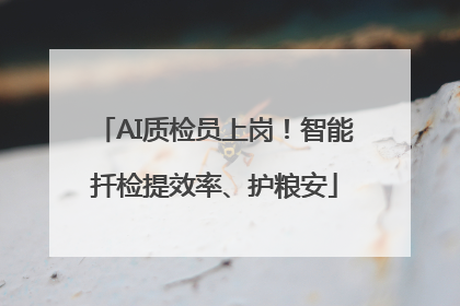 AI质检员上岗！智能扦检提效率、护粮安