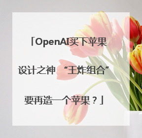 OpenAI买下苹果设计之神 “王炸组合”要再造一个苹果？