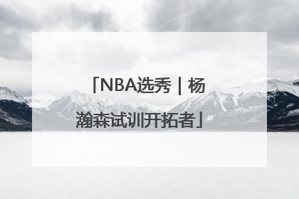 NBA选秀｜杨瀚森试训开拓者