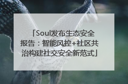 Soul发布生态安全报告：智能风控+社区共治构建社交安全新范式
